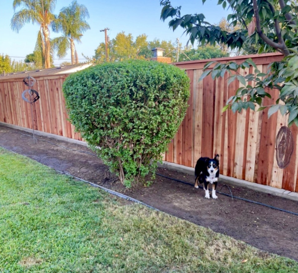 Redwood Fence Fresno